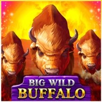 Logo of Big Wild Buffalo from Belatra Games at MoeMoe Casino